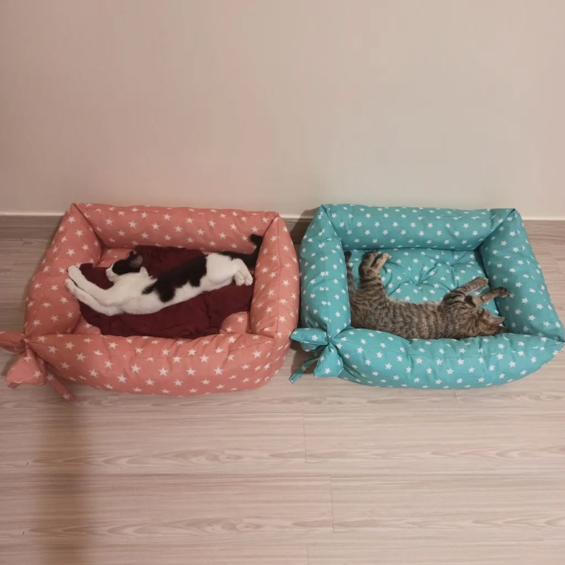 تشک سگ و گربه