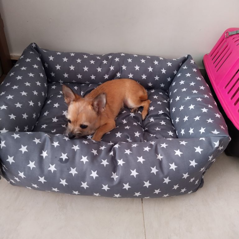 تشک پت با کیفیت